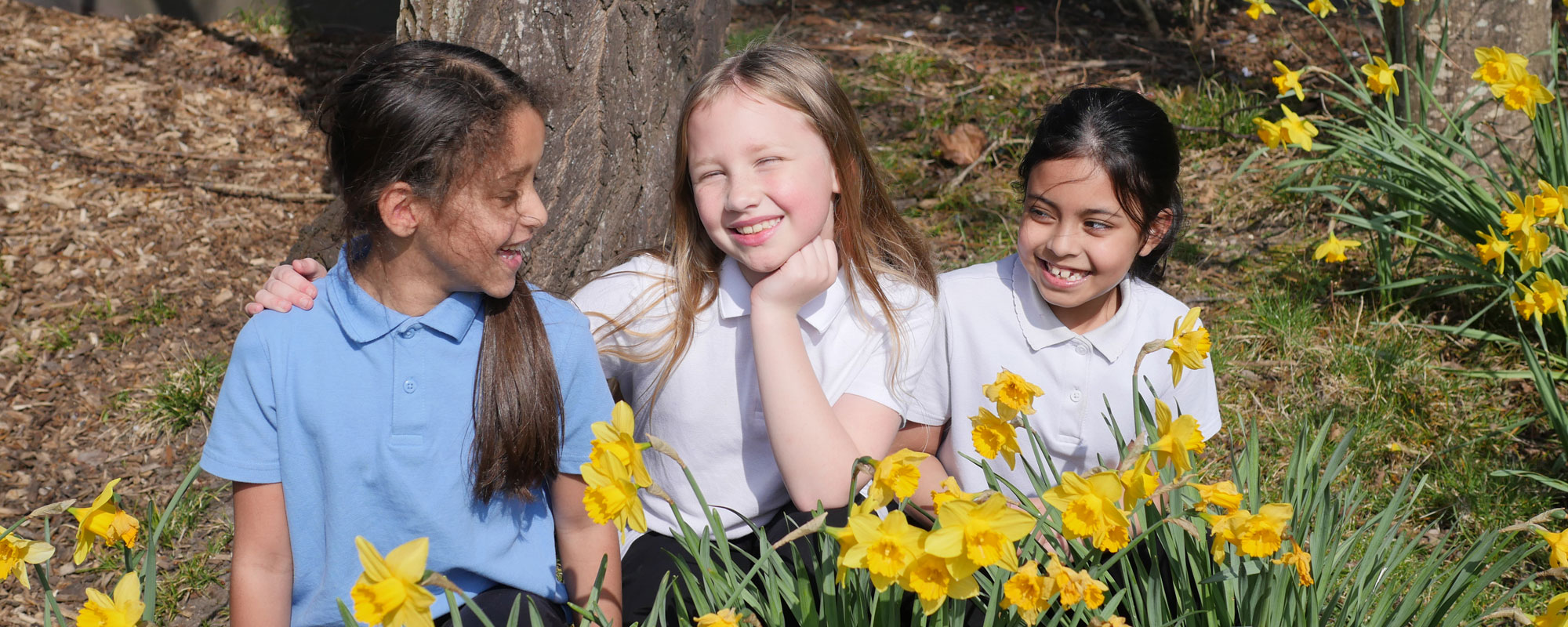 3-girl-pupils-sitting-in-daffodils